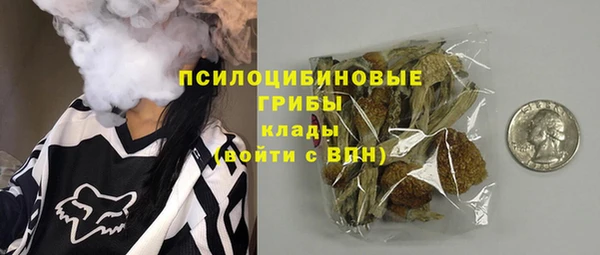 ГАЛЛЮЦИНОГЕННЫЕ ГРИБЫ Алексин
