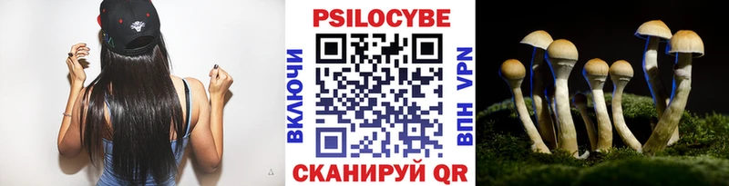 Галлюциногенные грибы Magic Shrooms  цена наркотик  Трубчевск 